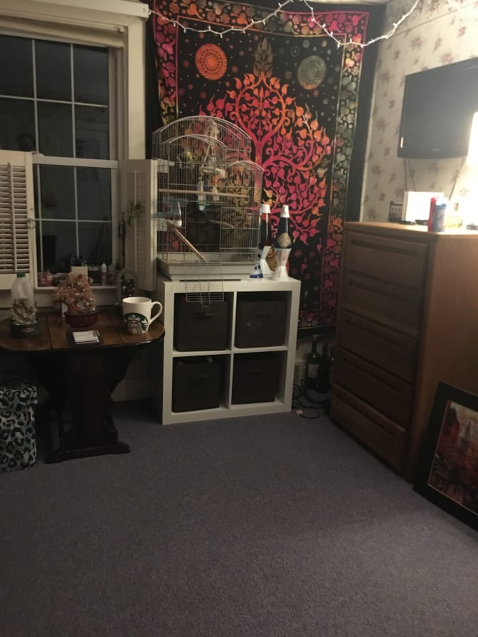 Photo of Taina's room