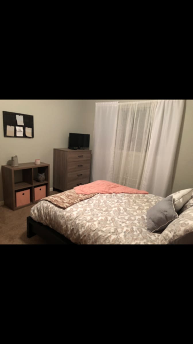 Photo of Heidi 's room