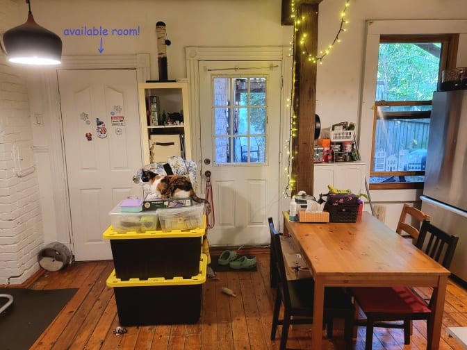 Photo of Max's room
