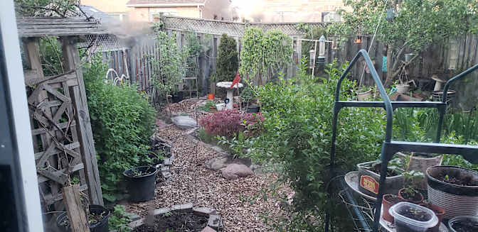 Photo of Ranjith's room