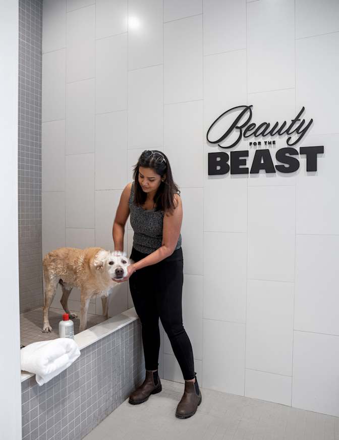 Kunal Jhanwer's room