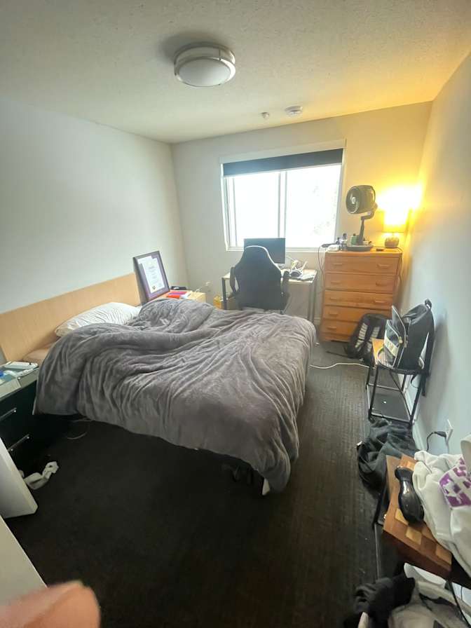 Danish Jaffri's room