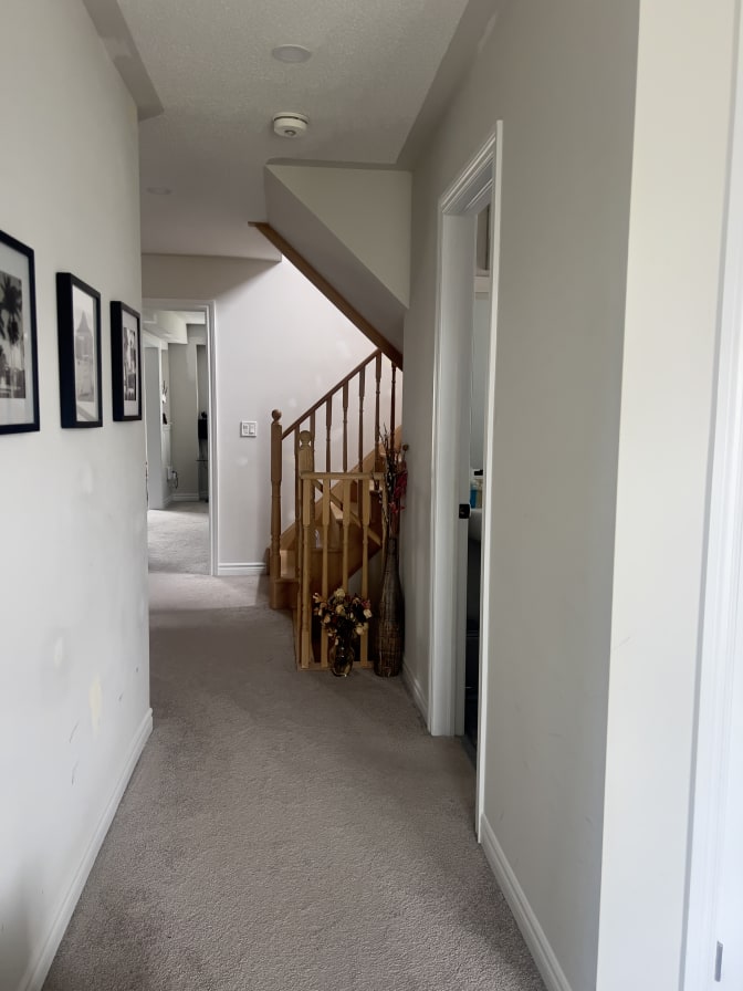 Photo of Josie's room