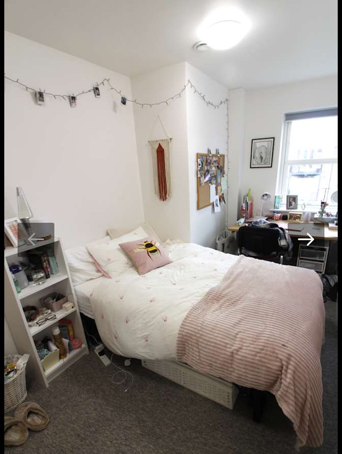 Photo of Elea Stevens's room