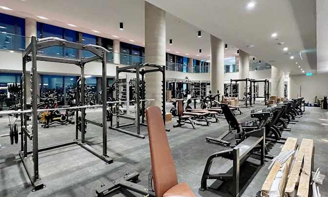 Diana Androsova's room