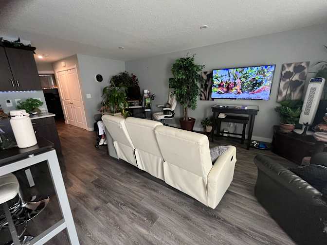 Photo of Jennifer Gabrysh's room