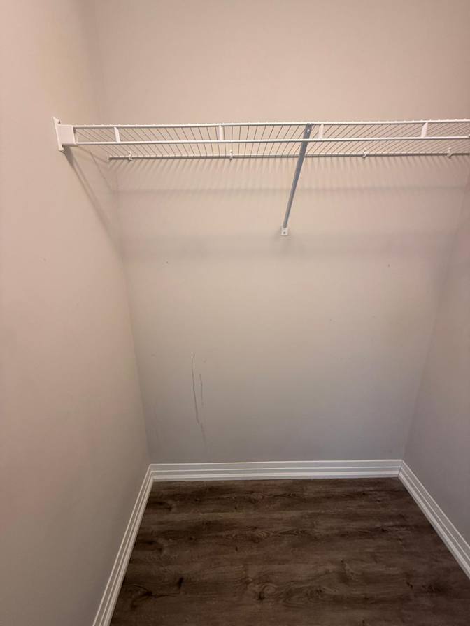 Aminchap Ricadela's room