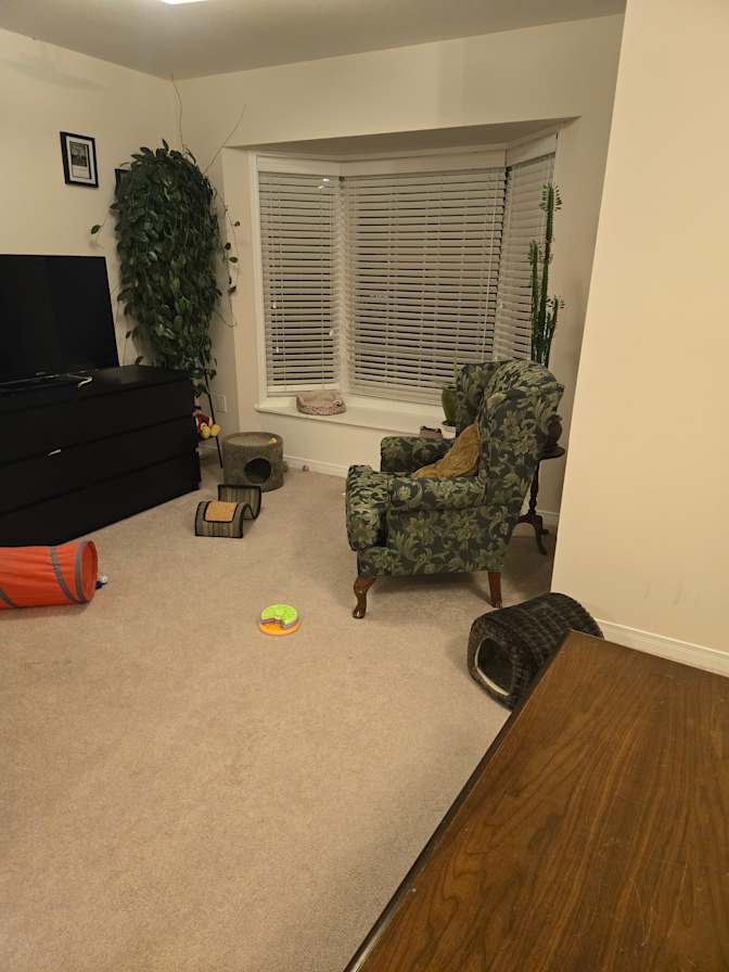 Photo of Sandra's room