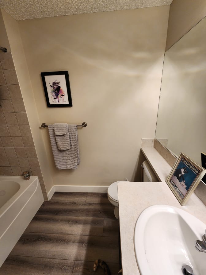 Lauren Vanderveen's room