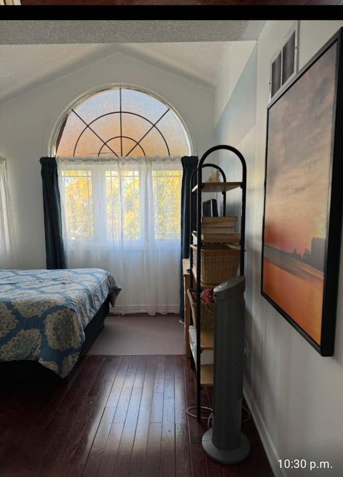 Photo of Laila Adahan's room