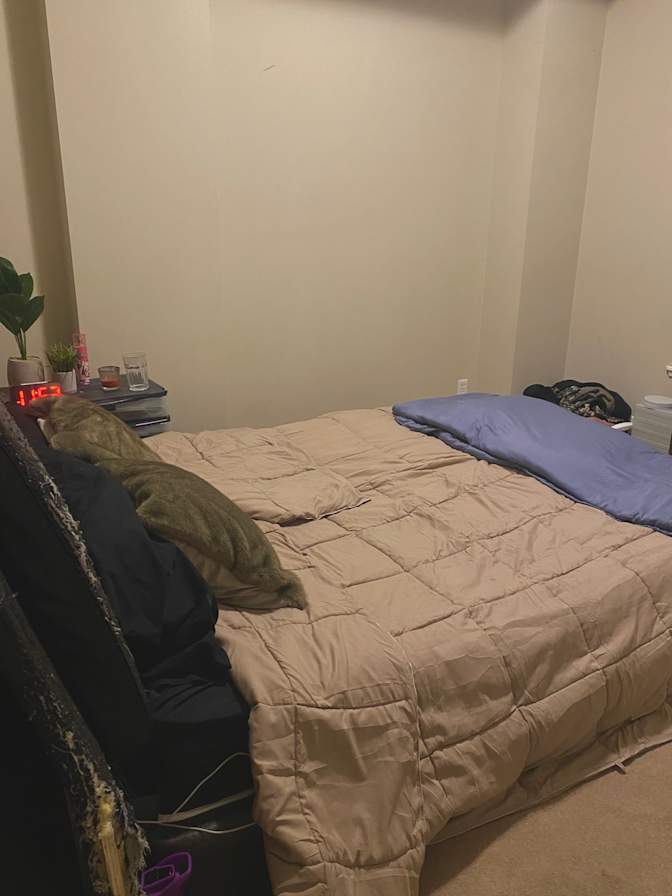 Cassandra's room