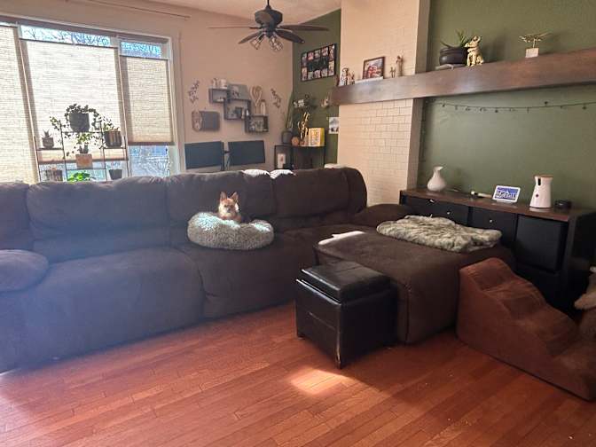 Shauna Collins's room