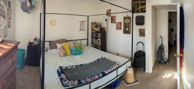 Photo of Curio's room