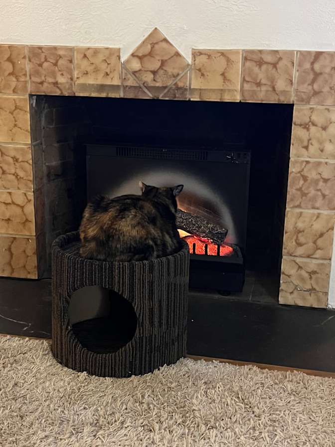 Rebecca Campbell's room