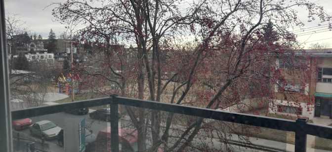 Md Ismail Hoque's room