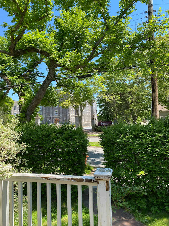 Johannes and Kyle's room