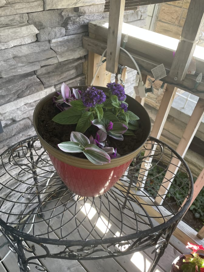 Photo of Adam's room