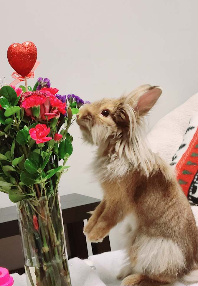 Photo of Aliki's room