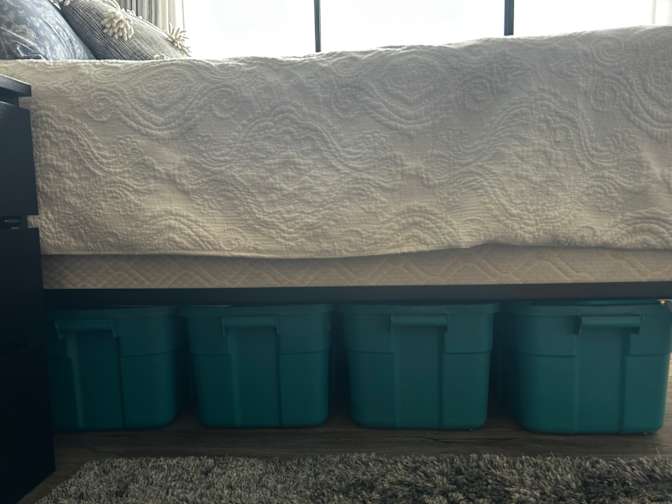 Photo of Jelli's room