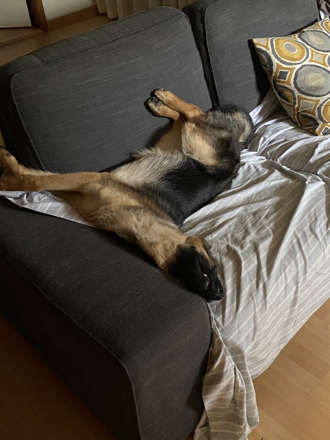 Stephen Mader's room