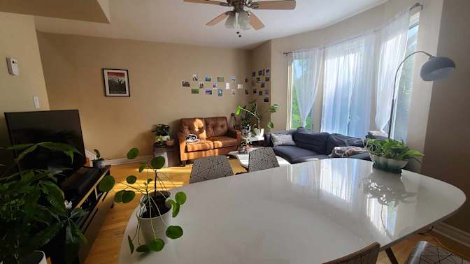 Damiao Melo Fernandes's room