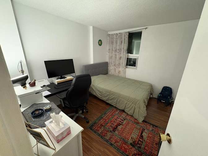 Saeid Foroughi's room