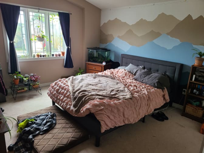 Photo of Maisyn's room