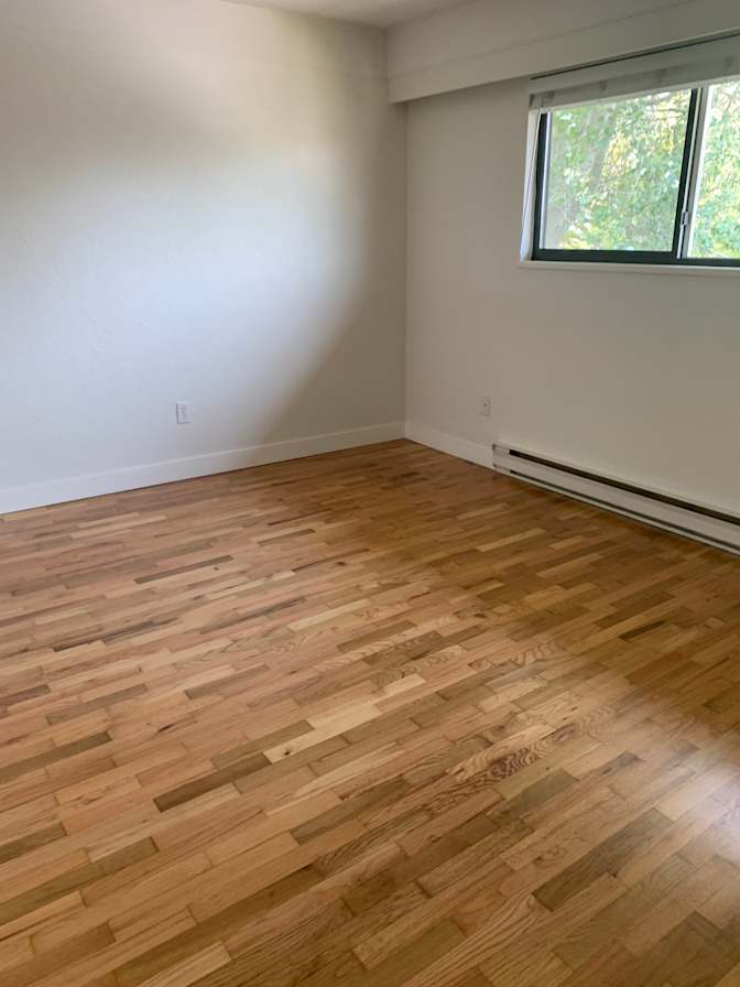 Photo of Paola's room