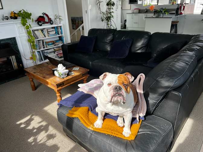 Photo of Georgia Holmes's room