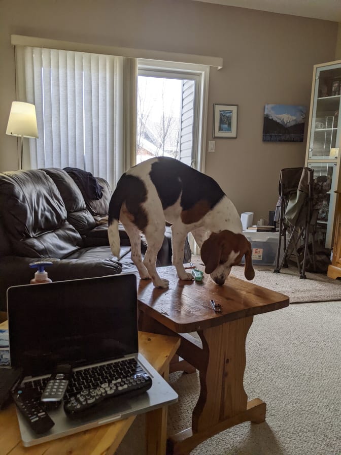 Photo of Daryl's room