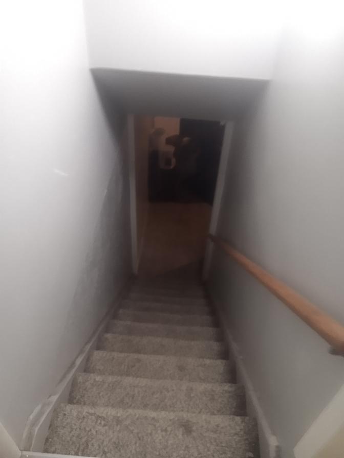 Photo of Todd's room
