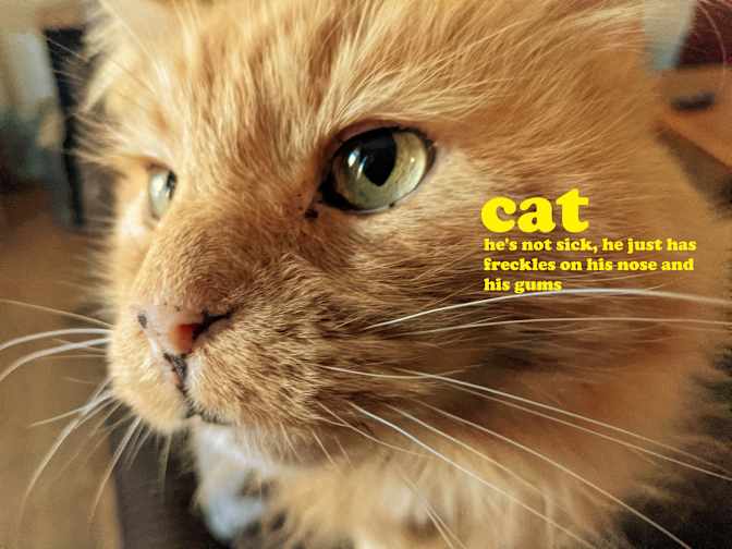 Run Down House's room