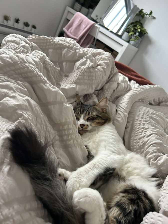 Photo of Seiko's room