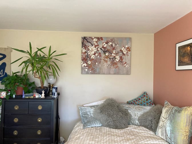 Photo of Natalie - shared home in Fairfax's room