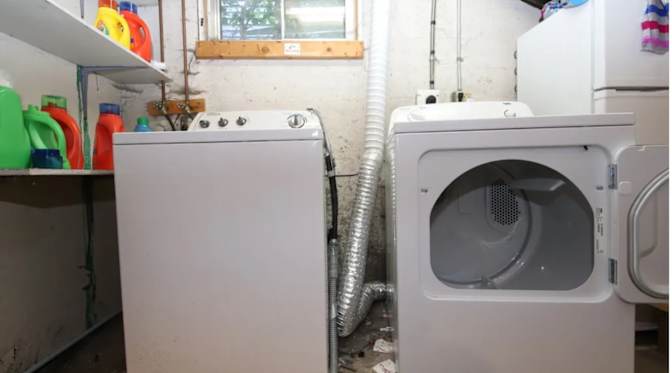 Wild cat team (Peter's room