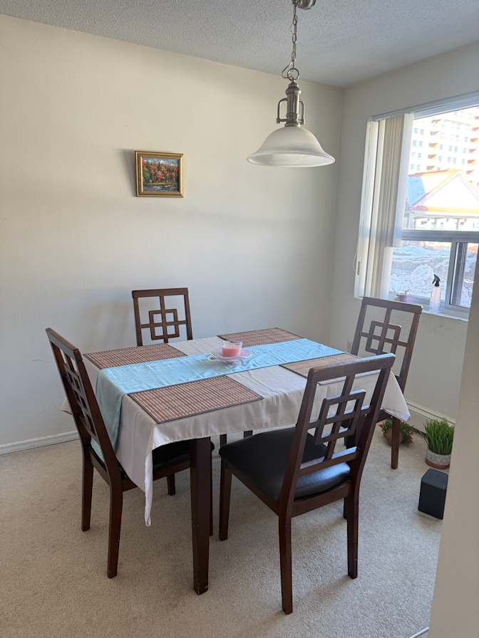 Sepideh Damercheli's room