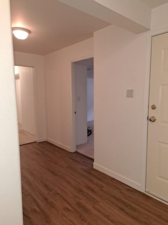 Photo of Nazanin Tofangchi's room