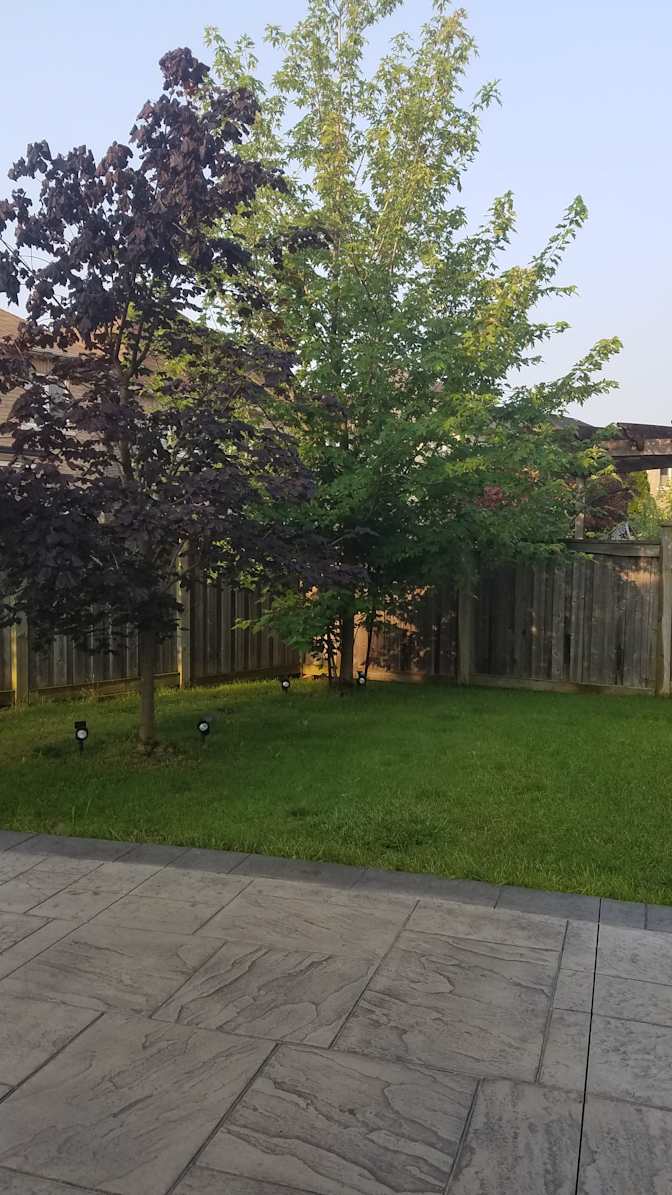 Kavesseri Raja's room