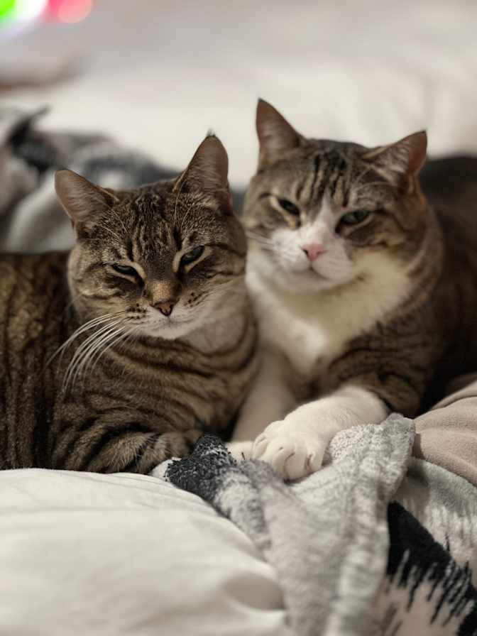 Photo of Shyloh's room