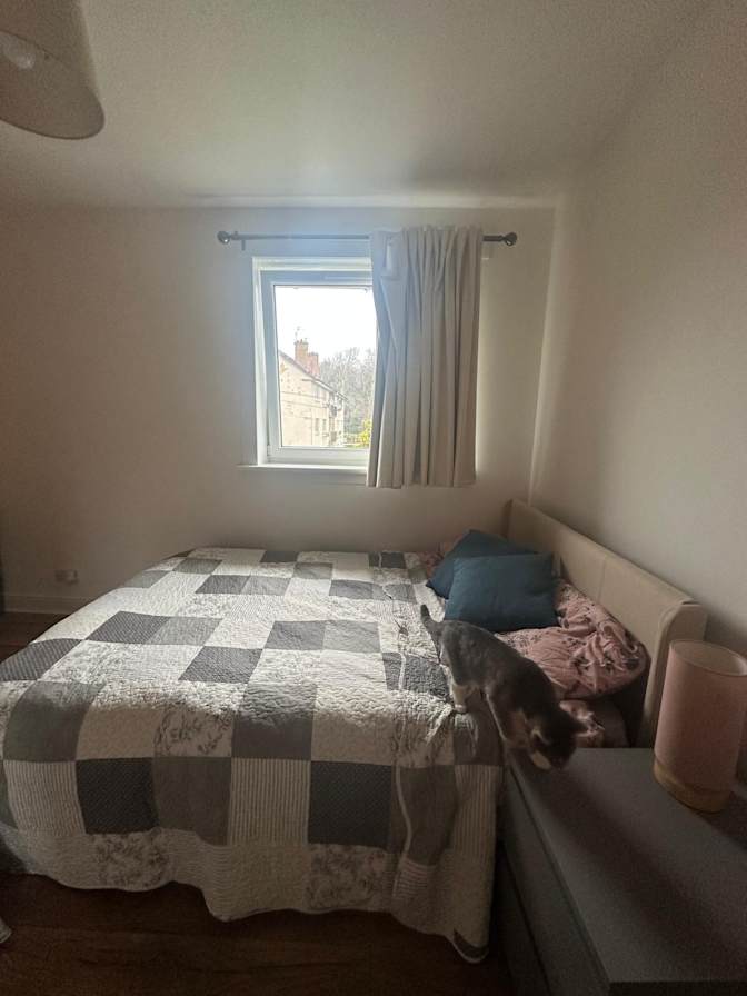 Photo of Francesca Ferrari's room