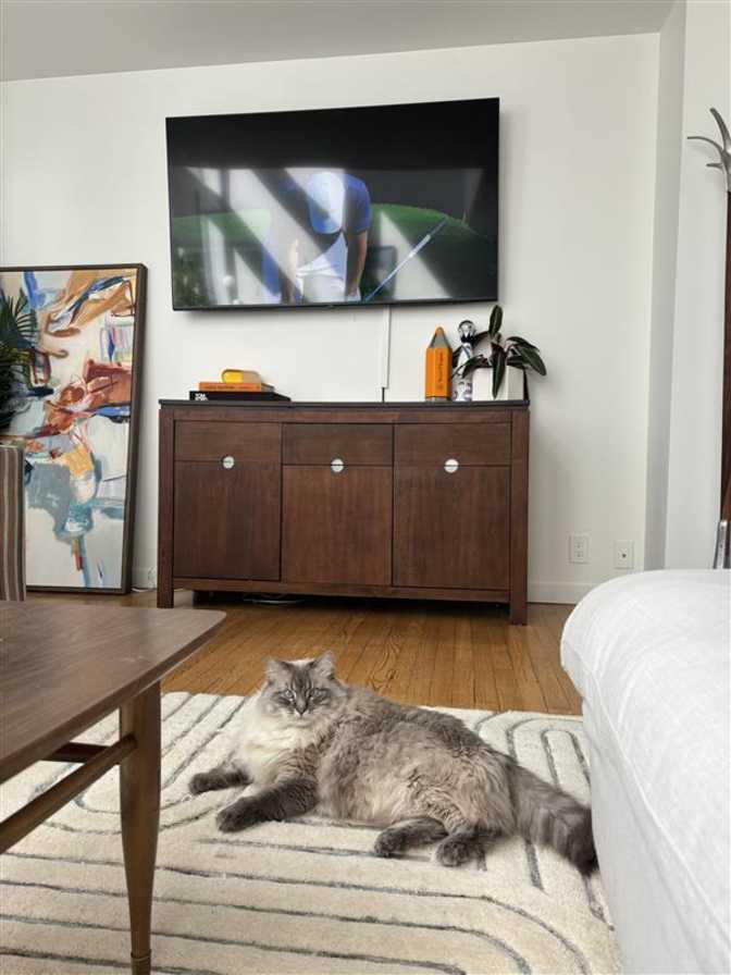 Photo of vhari's room