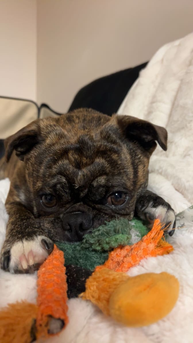 Emma Anthieren's room