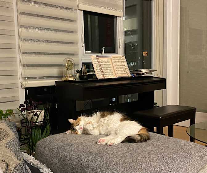 Photo of Addie's room