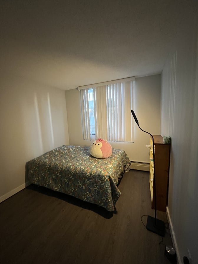 Photo of Niloofar's room