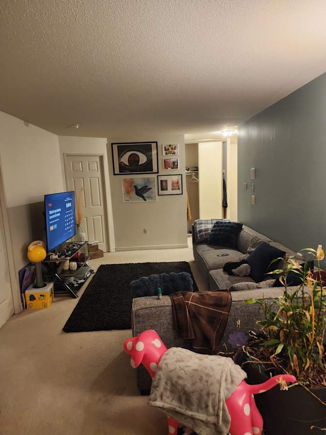 Dandrade browne's room