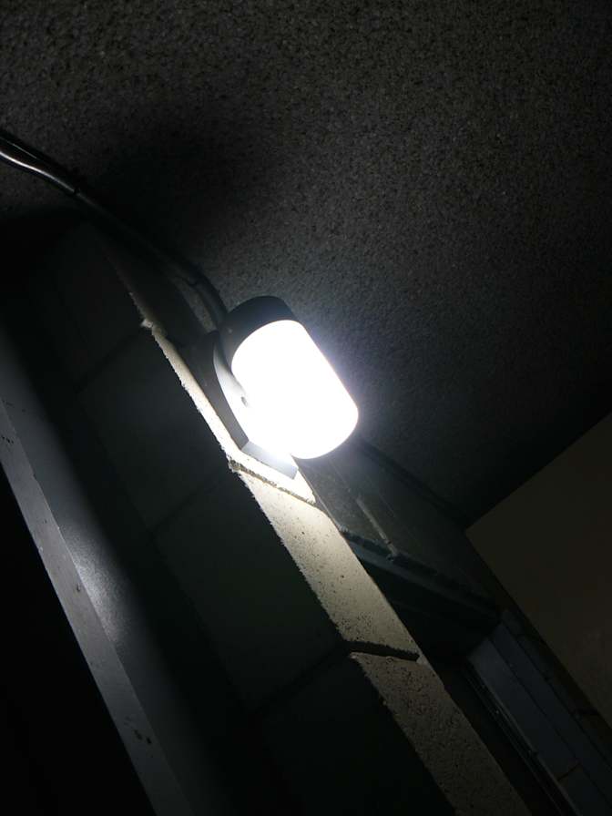 Miss Renee K. Taylor--Wants to help resolve an unconfirmed Crime-Incident--University Degree--Theatre Buff's room