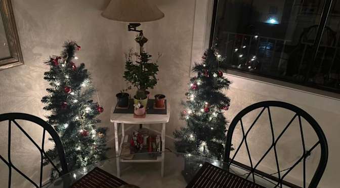 Arman Dadrass's room