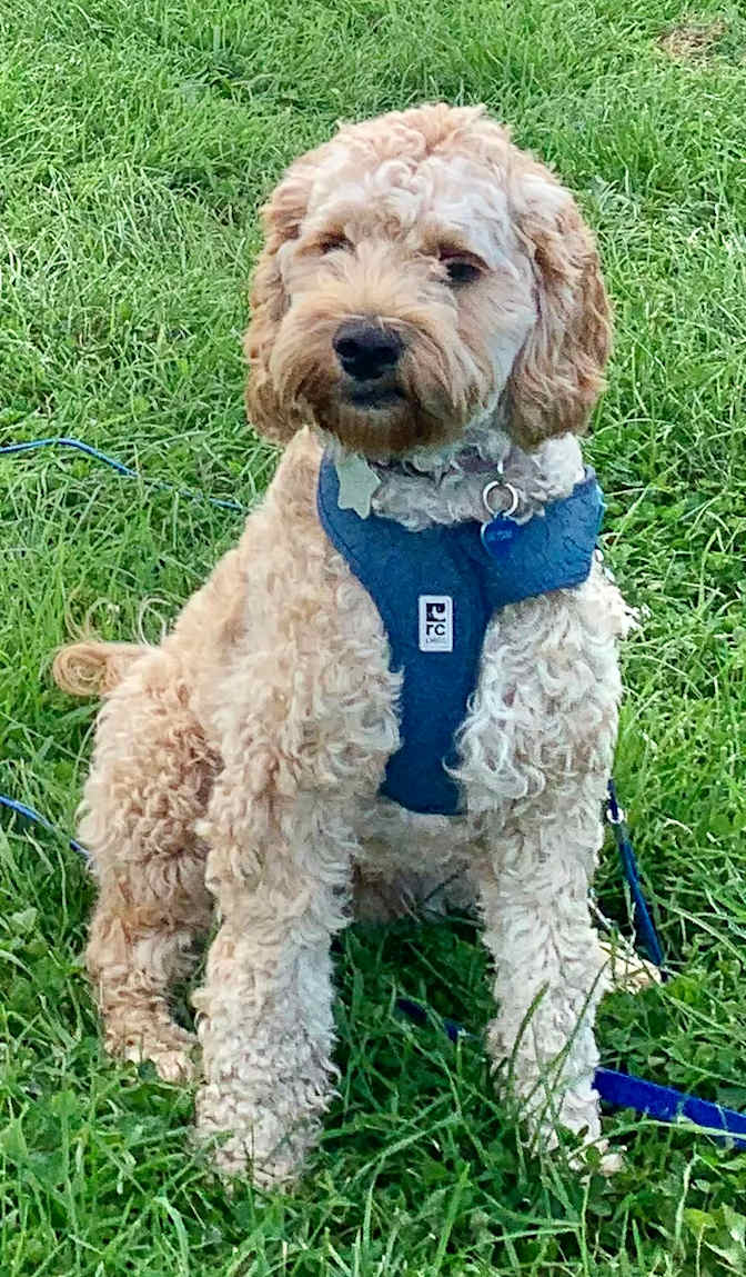 Marie-Claude Lambert's room