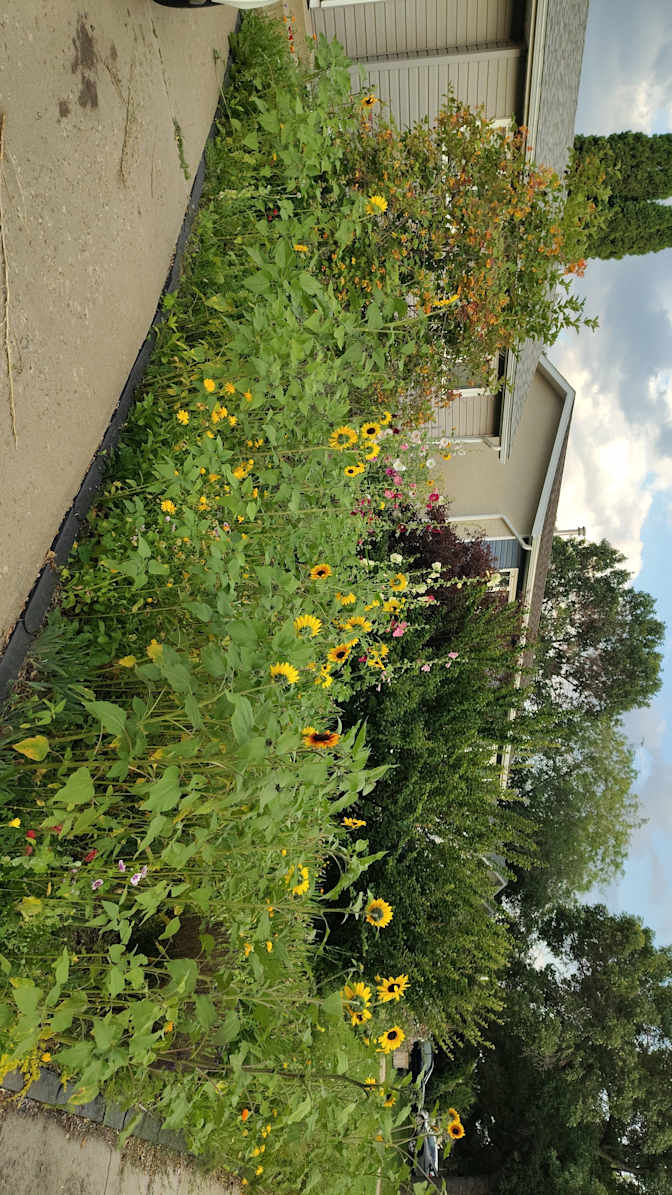 Photo of Caleo's room