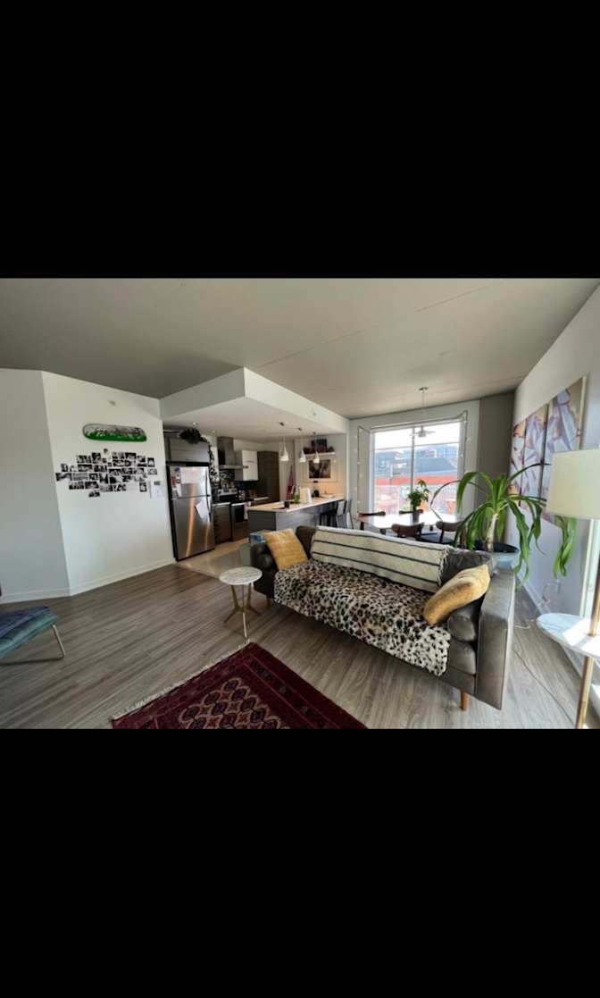 Photo of mehdi's room